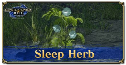 monster hunter world parashroom|monster hunter rise sleep herb.